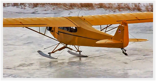 http://airpigz.com/blog/2013/12/17/video-wow-did-you-see-this-cub-land-on-skis.html